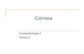 LCRPG y astigmatismo - alojamientos.uva.es · Córnea María J. González García 2 Objetivos Enumerar las dimensiones de la córnea