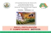 RIEGO, FERTILIZACIÓN Y COMPETIDORES BIÓTICOSucv.ve/fileadmin/user_upload/facultad_agronomia/PDI/2013/PDI... · ACARO PLANO DE LOS CITRICOS ... Manchas grasientas y en forma de anillo,