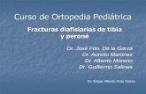 Curso de Ortopedia Pediatrica - MIC – Mercadotecnia …mic.com.mx/.../FracturasDiafisiariasdeTibiayPerone.pdf ·  · 2013-12-11La fisis distal de la ... 2cm debajo de pliegue popliteo