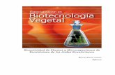 Bioactividad de Plantas y Microorganismos de …dspace.uazuay.edu.ec/bitstream/datos/2547/1/09735.pdfEste género es uno de los que ocasiona la enfermedad conocida como antracnosis
