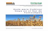 Guía para Cultivar Soya en el Sur de Tamaulipas · carne, leche y huevo, además de una amplia gama de productos alimenticios y nutricionales. ... de soya se redujo de 348 a 78 mil