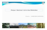 Parque Nacional Cerro Azul Meámbar - climiforad.org³n-17... · ˜Disponibilidad de fondos, ˜ Consolidación de plan de investigación del Área protegida, ˜ Ampliación de PMP,