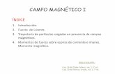CAMPO MAGNÉTICO I - personales.unican.espersonales.unican.es/.../apuntes2/campo_magnetico1.pdf · La unidad de campo magnético en el sistema internacional es el Tesla (T). También