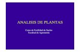 ANALISIS DE PLANTAS - Facultad de Agronomía³n Herramientas de evaluación del estado nutricional sistema suelo-planta: – Análisis de suelo – Análisis de plantas – Síntomas