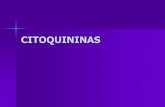 CITOQUININAS - franciscosaborio.files.wordpress.com€“Activa crecimiento de yemas laterales ... Elimina dormancia en algunas semillas Estimula formación de tubérculos . Genética