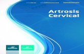 Artrosis Cervical - inforeuma.com · 03 Artrosis Cervical tos que rodean las articulaciones. El cartílago no tiene nervios y, por lo tanto, no es sensible al dolor. En muy pocas