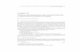 Capítulo 10 Técnicas electroquímicas para la determinación ...paginas.fe.up.pt/~cigar/html/documents/CapMonografia2.pdf · metodologÍas analÍticas para la determinaciÓn y especiaciÓn