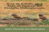 Guía de Bolsillo para Aves de Pastizal del Desierto ... de Pastizal del ... manejo sustentable. ... algunas veces camina sobre el suelo para atrapar chapulines (saltamontes) y grillos.