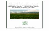 APROVECHAMIENTO DE AREAS DE CULTIVO …sinat.semarnat.gob.mx/dgiraDocs/documentos/nl/estudios/2004/19NL...anterior permite la regeneracion gradual del suelo perturbado por ... especies