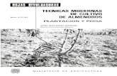 i ^ i ^ii^^ - FRUTALES | Una aproximación a la Fruticultura … ·  · 2011-06-30i ^ i ^ii^^ núm. 9-77 hd tecnicas modernas de cultivo de almendros plantacion y poda jose navarro