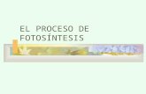 [PPT]PowerPoint Presentationrecursos.cnice.mec.es/.../presentaciones/Fotosintesis.ppt · Web viewTitle PowerPoint Presentation Last modified by dpacheco Created Date 1/1/1601 12:00:00