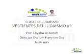 CLASES DE JUDAISMO VERTIENTES DEL JUDAISMO #3 · CLASES DE JUDAISMO VERTIENTES DEL JUDAISMO #3 ... divina de la transformación del mundo en beneficio de la ... Instituto Judío de
