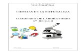 LABORATORIO DE CIENCIAS DE LA ... - ceipblasinfante.orgceipblasinfante.org/IMG/pdf/CUADERNO_LABORATORIO_1o_ESO-2.pdf · Esto constituirá el informe de la práctica que se entregará
