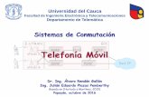 Universidad del Cauca - dtm.unicauca.edu.codtm.unicauca.edu.co/pregrado/conmutacion/transp/5.3A...8 Actualización de la red GSM Elemento de red GSM Modificación o actualización