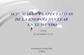 ACTUALIDAD Y EXPECTATIVAS DE LA ENERGÍA … · 48 ACELERADORES LINEALES DE USO MÉDICO 338 LABORATORIOS DE RADIOINMUNO ENSAYO Datos ARN 2005. Ciclo del Combustible Nuclear en Argentina