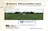 Pasto Humidicola - ciat-library.ciat.cgiar.orgciat-library.ciat.cgiar.org/articulos_ciat/Digital/ICA_000041C.2... · adaptación a condiciones de suelos ácidos y de baja fertilidad,