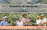 Republica de Honduras - cepal.org sostenible de Honduras mediante la formulación, coordinación, ... •Tres pisos (cafe, madera, guama) Tipo de procesamiento •Compacto •Tradicional