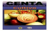 Guia cebolla 2003 - MAGsimag.mag.gob.sv/uploads/pdf/2014120114434.pdf · de hortalizas, se han dedicado muchos esfuerzos; y en el cultivo de CEBOLLA, ... El Salvador por su posición