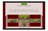plantas medicinales colectadas en panama - cich.org · espacio en el mercado internacional de plantas medicinales, sin embargo, su clasificación ... altura de la planta, forma, tamaño,
