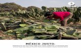 MÉXICO justo - oxfammexico.org México...MÉXICO justo: PROPUESTAS DE POLÍTICAS PÚBLICAS PARA COMBATIR LA DESIGUALDAD. Autores: Diego Alejo Vázquez Pimentel, ... o nada en el