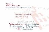 Anatomía Humana - Universidad Católica de Ávila · Guía docente de Anatomía Humana 7 y procesos. CG28. Proporcionar la formación higiénico-sanitaria y dietético-nutricional