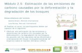 Módulo 2.5: Estimación de las emisiones de carbono ... · Sistema de Observación Mundial de la Dinámica de la Cubierta Forestal y la Cubierta Terrestre ... cambio de uso de la