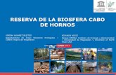 RESERVA DE LA BIOSFERA CABO DE HORNOS - … · Texas USA CHILOE –Diciembre 2014 ¿Porque Reserva de Biosfera Cabo de Hornos? ... Las aguas de lluvia y cursos de agua más limpios