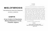 MINIGUIA V4 corregido - SEHH - Sociedad Española de ... Recomendaciones básicas para el diagnóstico, pronóstico y tratamiento GAMFIN Grupo Andaluz de Neoplasias Mieloproliferativas
