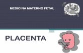 PLACENTA : Primera etapa - Salud Materno Fetalmaternofetalnic.com/subidas/PRESENTACIONPLACENTA.pdfVELLOSIDAD TERCIARIA: Inicia a partir del día 20-21 PC Pathology of the human Placenta.