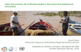 Valor Económico de la Biodiversidad y Servicios ... Colombia (con base en información obtenida desde 1991) – creación del Comité Interinstitucional de Cuentas Ambientales (CICA)