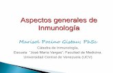 Aspectos generales de Inmunología ·  · 2017-01-27Endocrina Las citoquinas pueden agruparse en diferentes familias: