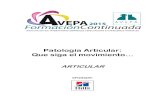 Patología Articular: Que siga el movimiento… - avepa.orgavepa.org/pdf/proceedings/ARTICULAR_PROCEEDINGS2015.pdftraumatológica o neurológica (déficits propioceptivos, reflejos).
