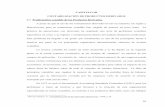 CAPÍTULO III CONTABILIZACIÓN DE PRODUCTOS …catarina.udlap.mx/.../lcp/castro_p_ra/capitulo3.pdf ·  · 2005-03-15práctica de operaciones con derivados ha originado una serie