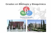 Grados en Biología y Bioquímica - arnm.files.wordpress.com · *Fundamentos de Bioquímica – 6 ECTS. Regulación del Metabolismo -6 ECTS. Bioquímica Farmacológica– 6 ECTS.