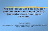Inspección visual con solución yodoyodurada de Lugol (IVSL ... · Tipos de pruebas de inspección visual: Inspección visual con solución yodoyodurada de Lugol (IVSL). También
