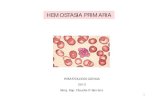 HEMOSTASIA PRIMARIA - ecaths1.s3.amazonaws.comecaths1.s3.amazonaws.com/hematologiaclinicafacena/1440277283... · son sepsis meningococica y cid plaquetopenia: causas hemostasia primaria