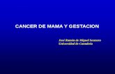 CANCER DE MAMA Y GESTACION - ocw.unican.es · * Definición Existencia de un cáncer de mama en la gestación o durante un año después (Mathieu et al,2002) * Incidencia (por 1000