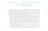 Capítulo 13 - Editorial Amolca Colombia · nerviosos sensitivos de la segunda y tercera rama del V nervio craneal, ... los nervios facial, ... la hipoestesia-parestesia-anestesia