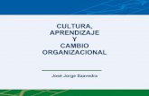 CULTURA, APRENDIZAJE Y CAMBIO ORGANIZACIONALk.b5z.net/i/u/6111265/i/Cultura_Aprendizaje_y_Cambio_Organizac... · Definición de Cultura Organizacional La cultura puede ser definida