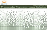 Versión 1.3 3 noviembre, 2016 Protocolo Forestal para … Forestal para México Versión 1.3, noviembre 2016 1 Abreviaciones y Acrónimos AIP Acuerdo de Implementación del proyecto