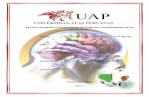 Tema : Ejercicios para la memoria y el lenguaje Curso ...sa6cd00fb9d22b93d.jimcontent.com/download/version/1433208414/mo… · EJERCICIOS PARA EL CEREBRO El neurocientífico estadounidense