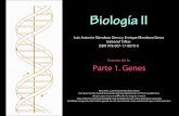 Mendoza, L. et al., Biología II Examen Parte 1. Genes · Señale la palabra cuyo significado sea más cercano o sinónimo de CODÓN: A. Tres pares de bases nitrogenadas B. Combinación