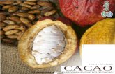 PORTAFOLIO CACAO - fertisa.com · Es importante recordar que el Caco responde a la fertilización sólo si se cultiva con niveles moderados de sombra o a plena exposición solar.
