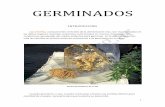 GERMINADOS - anima.org.ar · 1 GERMINADOS INTRODUCCIÓN Las semillas, componentes centrales de la alimentación viva, son muy utilizadas en las dietas veganas. Guardan sustancias
