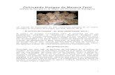 Cultivando Hongos de Manera Facil - Bio-Nica.info · 1 Cultivando Hongos de Manera Fácil Cultivo de Hongos en el Hogar con Peróxido de Hidrógeno Un manual de instrucción en dos