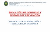 Presentación de PowerPoint - sanidadambiental.com€¦ · SÍNTOMAS • La fiebre hemorrágica del Ébola es una enfermedad vírica aguda grave que se caracteriza por : La aparición