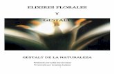 ELIXIRES FLORALES Y GESTALT - datelobueno.comdatelobueno.com/.../uploads/2014/05/Elixires-Florales-y-Gestalt.pdf · Bases, fundamentos, y principios. ... qué estoy hablando, después