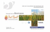 A Biomasa - campusvirtual.univalle.edu.co · biomasa que la calidad del combustible se corresponda con los ... Los fabricantes extranjeros de calderas suelen hacer referencia a las