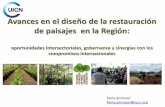 Presentación de PowerPoint - REDD+ Landscapereddlandscape.org/wp-content/uploads/2017/06/S1_02-Tania-Ammour... · “El proceso de recuperación de funciones de los ecosistemas degradados