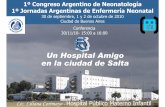 Un Hospital Amigo en la ciudad de Salta - sap.org.ar · 9 Cursos de CEDCEM, con evaluación 9 Cursos de Consejería en Lactancia Materna 9 Cursos de actualización de 6 horas, 2008/2009